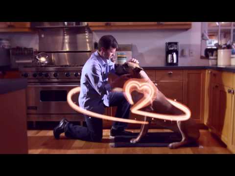 Видео о препарате Ветмедин таб. 10мг №100 (100 таблеток)